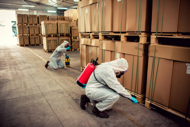 Best Pest Control for Restaurants  in Winfield, IL