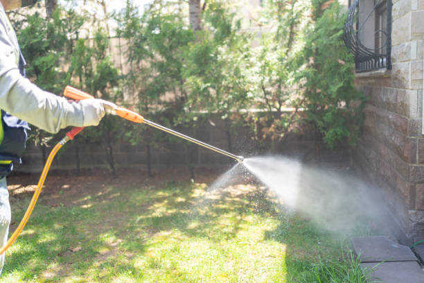 Best Wasp Removal Services  in Winfield, IL