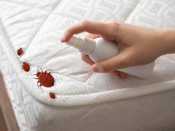Best Emergency Pest Control  in Winfield, IL