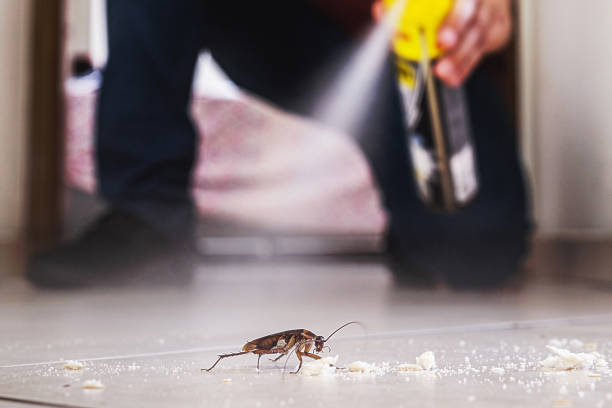 Best Commercial Pest Control Services  in Winfield, IL