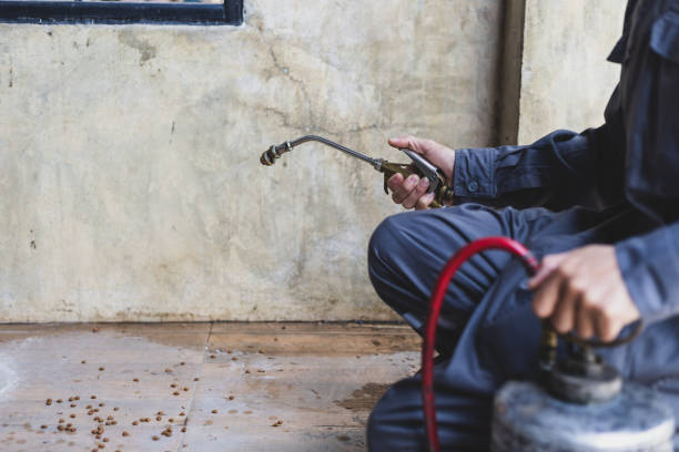 Best Flea Control Services  in Winfield, IL